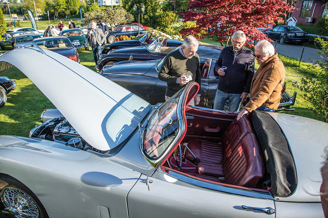 VJK Vårmønstring Jaguarklinikken.